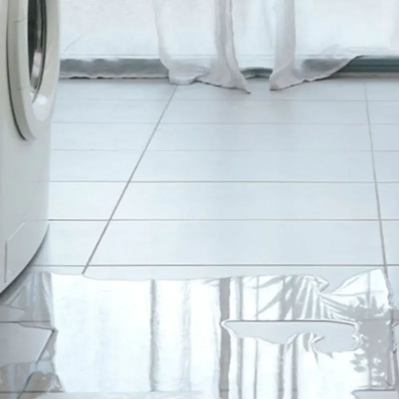 Appliance Leak Cleanup in Putnam County, FL