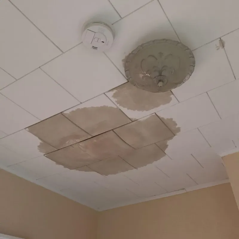 Ceiling Water Damage Repair in Putnam County, FL